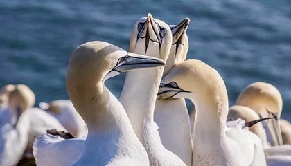 德甲投注-水庆霞代表：全国多地兴起城市联赛，足球的意义已超过竞技|足球联赛|中国女足|体育|赛事|青少年_新浪体育_新浪新闻